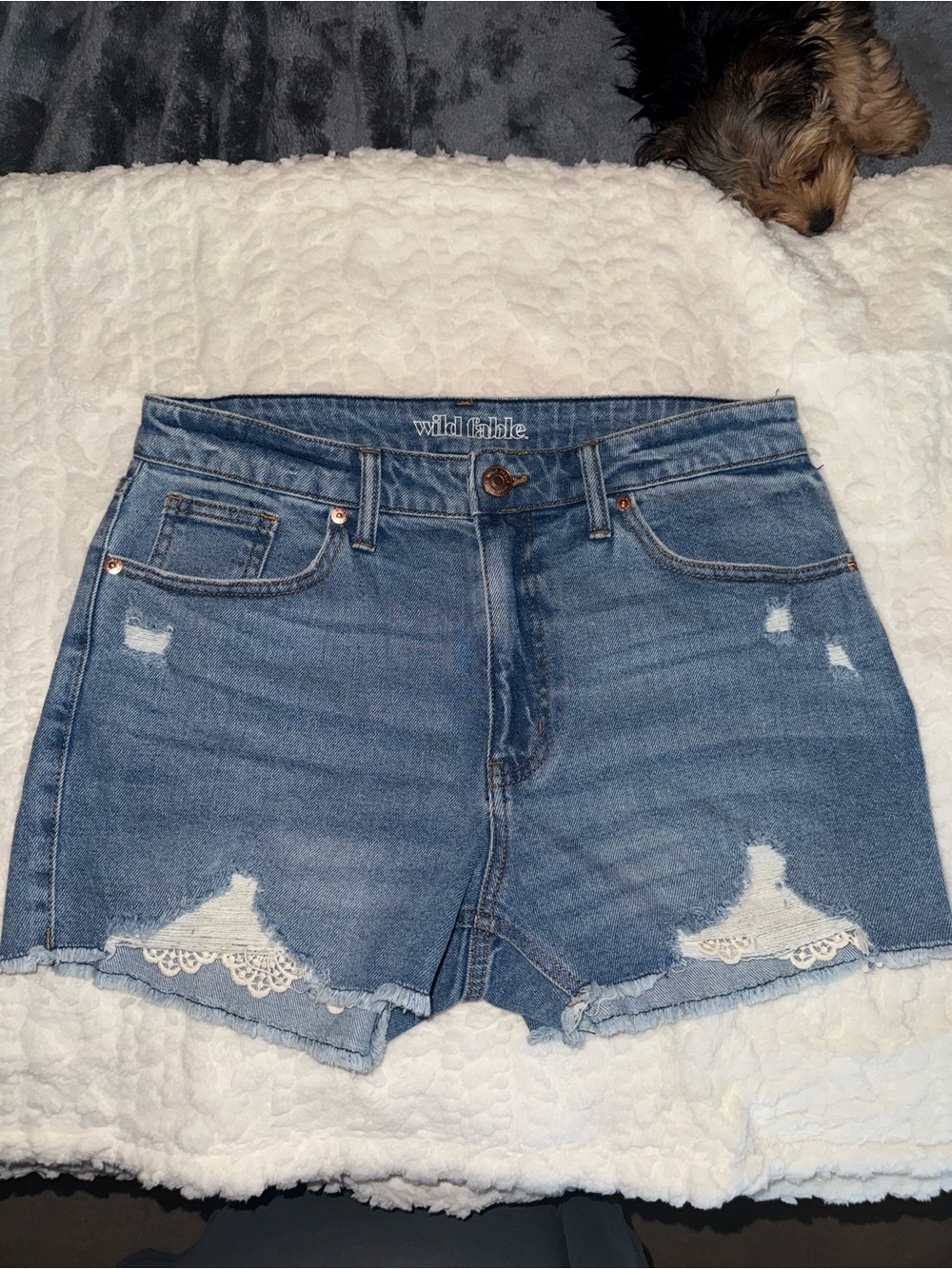 wild fable Light Blue Distressed Denim Shorts with Lace Accent